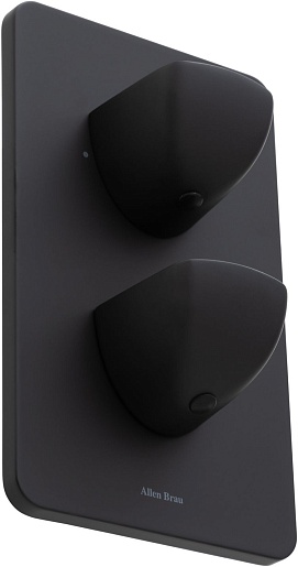 Allen Brau Смеситель для ванны Infinity 5.21216-31 (с внутренней частью, 2 выхода) черный матовый – фотография-2